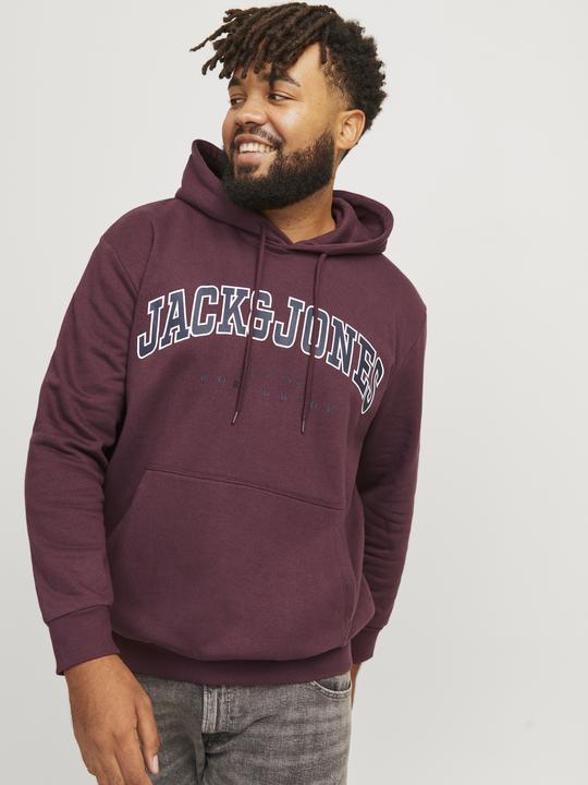 Immagine prodotto Jack & Jones Jjecaleb Varsity Sweat Hood Noos Pls (3XL)