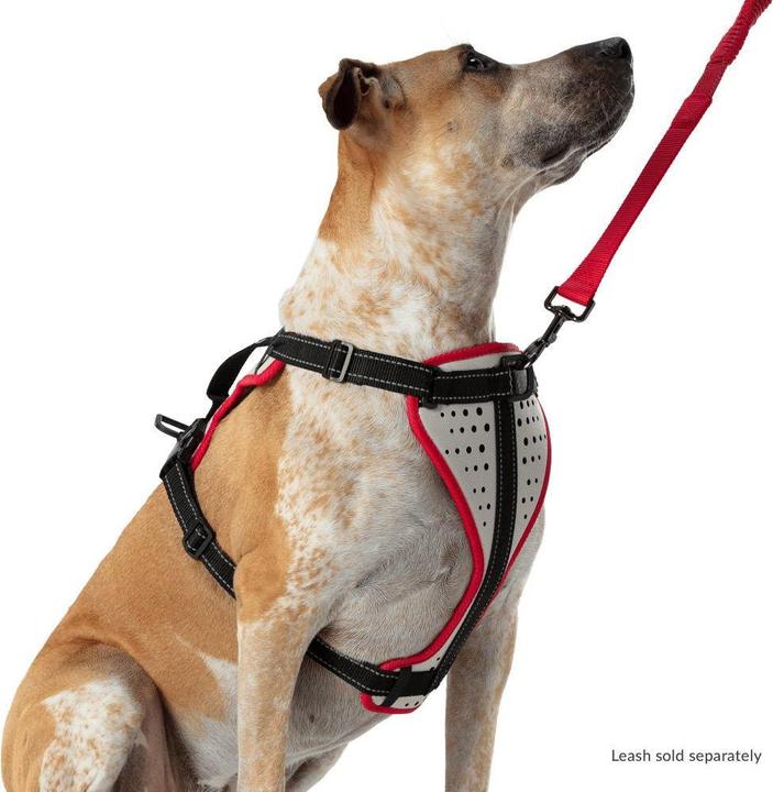 Produktbild Nathan K9 Reflective Dog Harness (M, Hund, Allgemein)