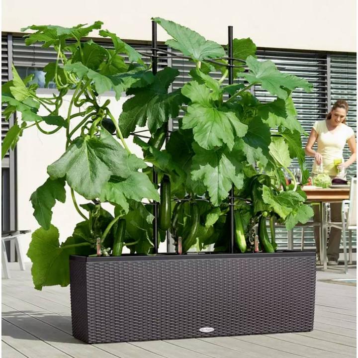 Actual product image Lechuza Trellis Trio Cottage 30 (86 cm, 86 cm)