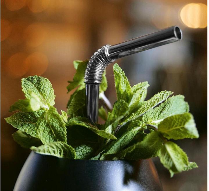 Actual product image Turtleneck Straw Drinking straws (4 x)