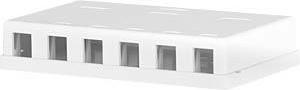 Produktbild M-Cab Keystone Box 6port Surf-Mounted (Keystone Modulhalter)