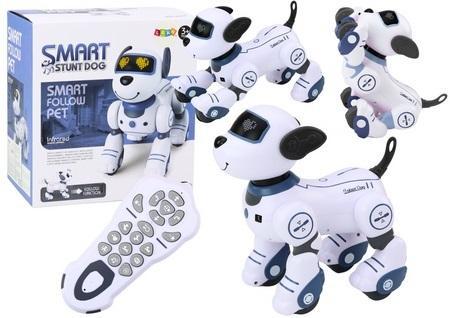Actual product image Lean Toys Interaktiver, ferngesteuerter blauer Hund