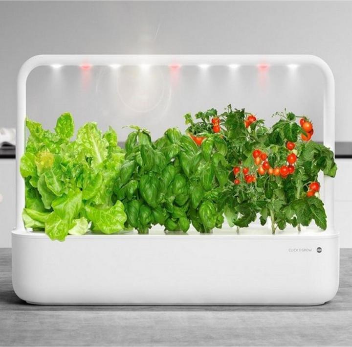 Productafbeelding Emsa Slimme tuin 9 Click&Grow (18.50 cm)