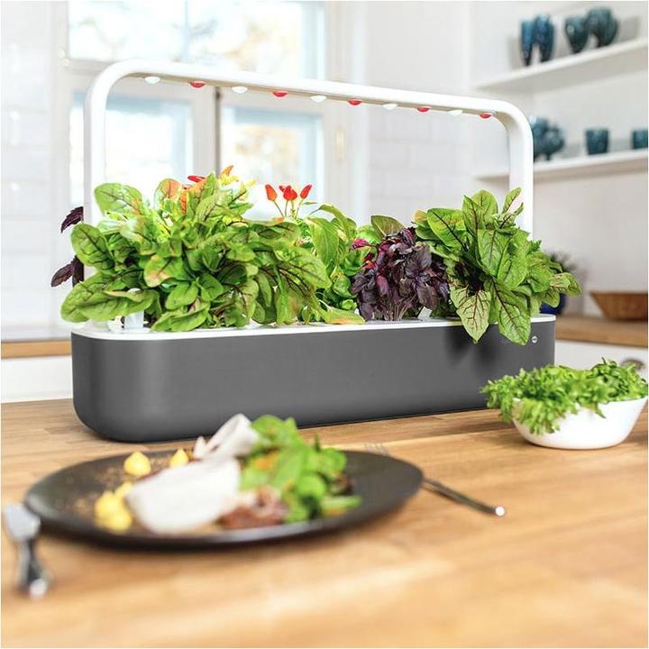 Productafbeelding Emsa Slimme tuin 9 Click&Grow (21.50 cm)