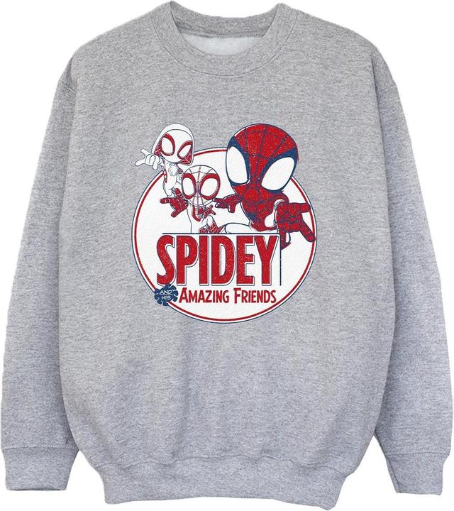 Produktbild Spidey And His Amazing Friends Circle Sweatshirt Jungen (116)