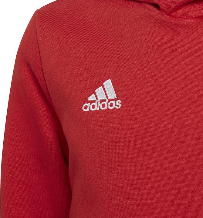 Immagine prodotto adidas Entrada 22 felpa con cappuccio per bambini (116)