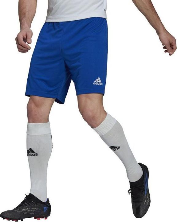 Actual product image adidas Entrada 22 Shorts Men (XL)