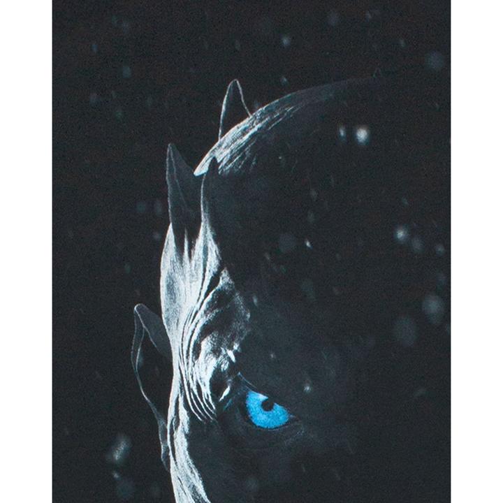 Actual product image Game of Thrones Tshirt (M)