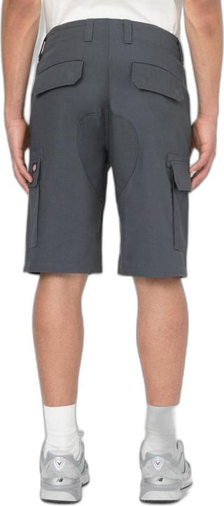 Actual product image Dickies Millerville Short (30)