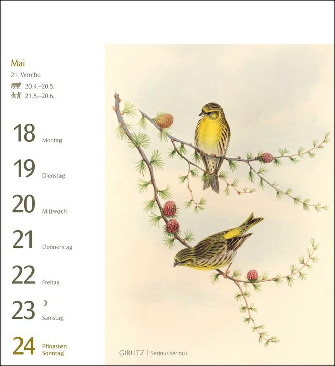 Actual product image Harenberg Vögel Postkartenkalender 2026 - Postkartenkalender mit 53 historischen Zeichnungen (Hardcover, German)