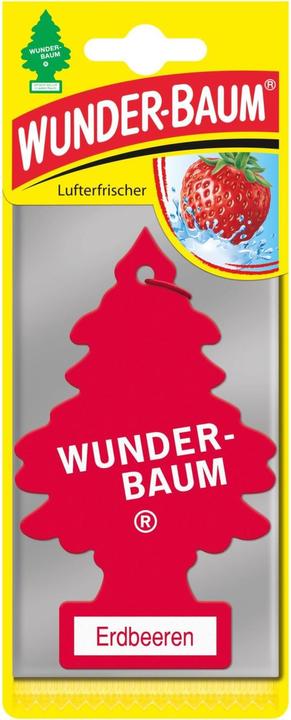 Wunder-Baum Scented tree
