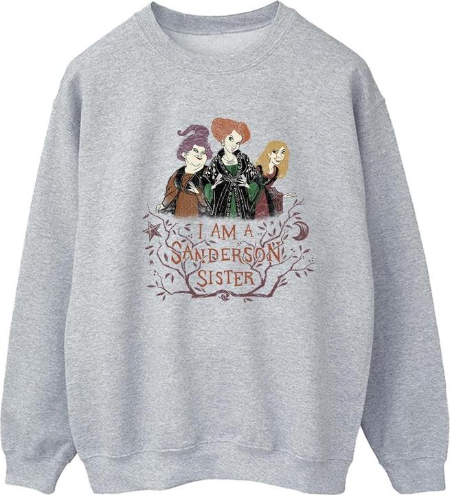Disney Hocus Pocus Sanderson Sister Sweatshirt (XXL)