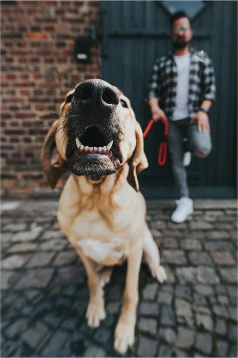 Produktbild Hunter Leine Freestyle (110, Hund, Allgemein)
