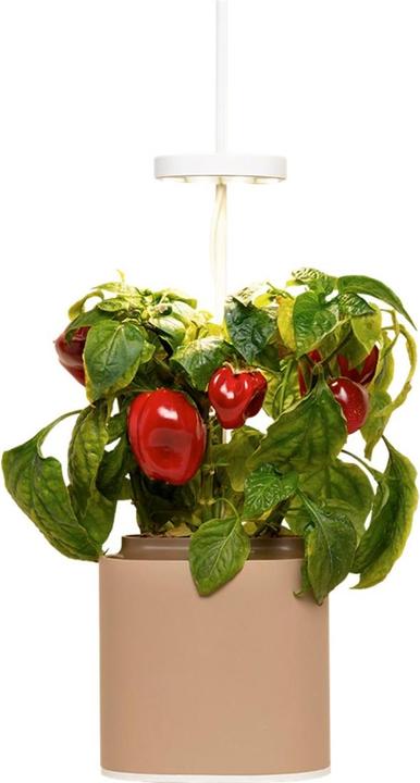 Herb Pot Nano, grigio sabbia (13.50 cm)