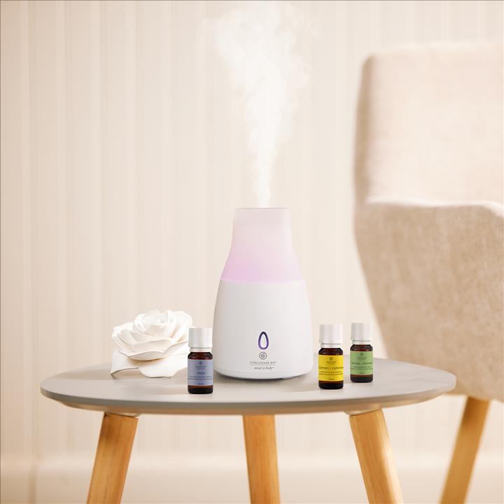 Actual product image Chesapeake Bay Candles Vitality