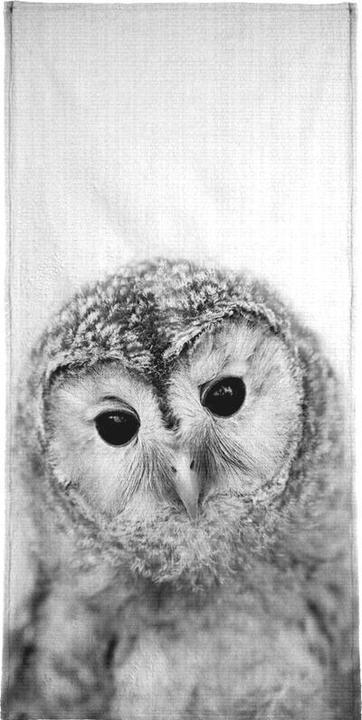 Image du produit Juniqe Hibou - Photo en noir et blanc (40 x 80 cm)