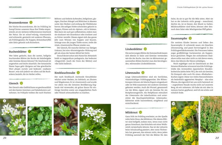 Produktbild Der Selbstversorger: Mein Gartenwissen (Deutsch, Wolf-Dieter Storl, 2017)