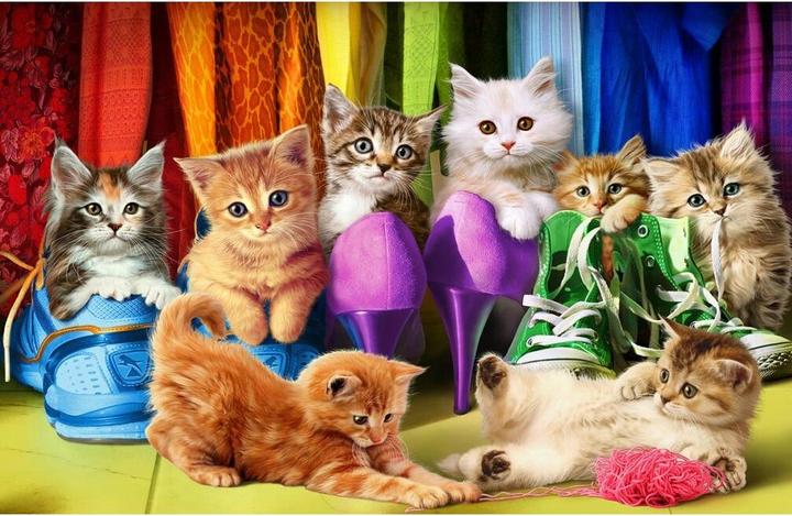 Image du produit Eurographics La fierté des chats (1000 pièces)