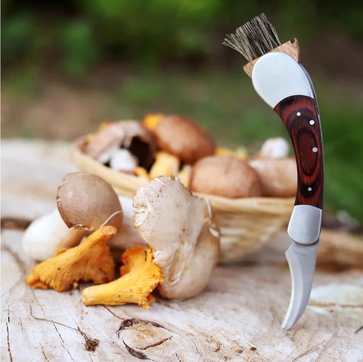 Produktbild Dönges Pilzmesser (8 cm)