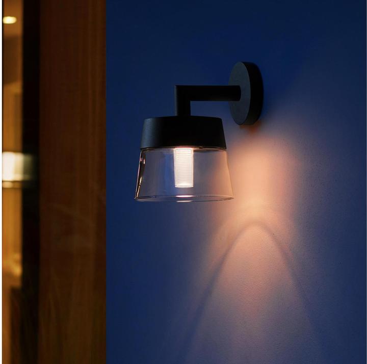 Image du produit Philips Hue Base d'attraction de la teinte (600 lm)