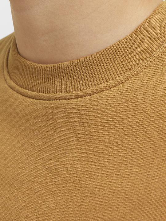 Actual product image Jack & Jones Jorcollect Edt Loose Sweat Crew Jnr (176)