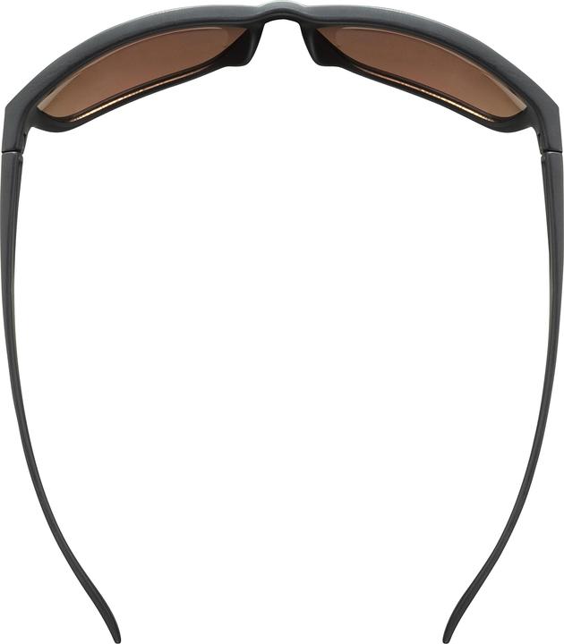 Actual product image Uvex Sports lgl 36 colorvision (Black Mat, Matt black)