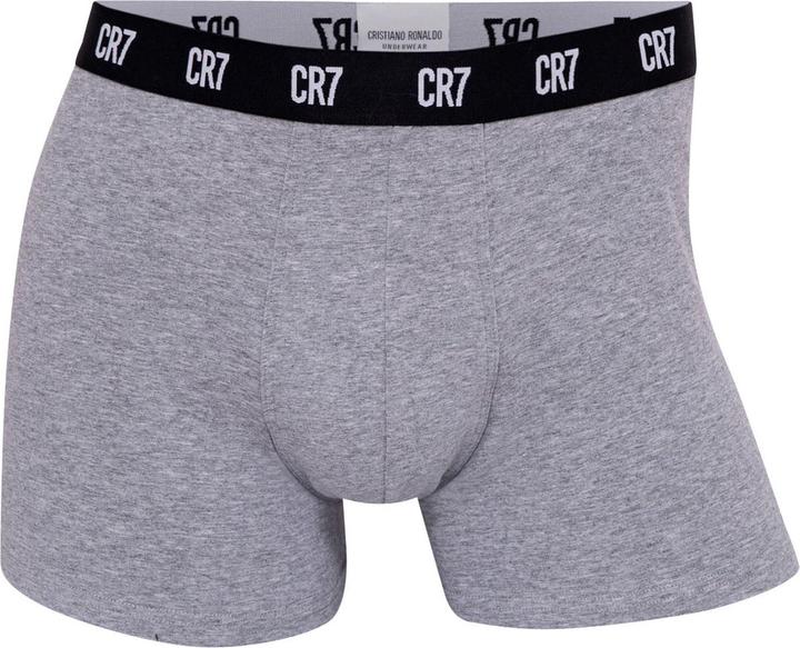 Actual product image CR7 Boxer shorts Casual Figure-hugging (L, 5-pack)
