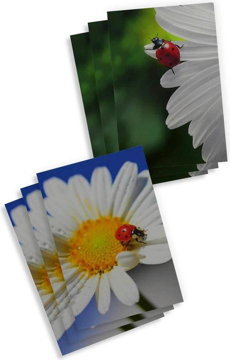 Produktbild ABC Motivkarte Blumen A6, 6 Stück (6 Stk.)