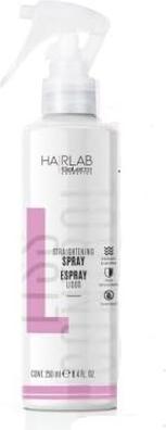 Immagine prodotto Salerm Spray lisciante 250ml (250 ml)