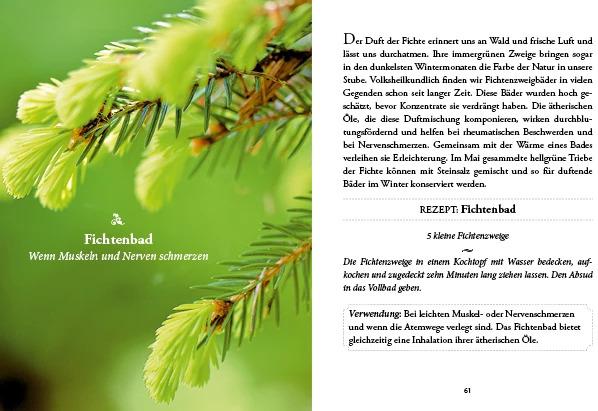 Actual product image Das kleine Buch: Vergessene Hausmittel (German, Karin Buchart, 2024)