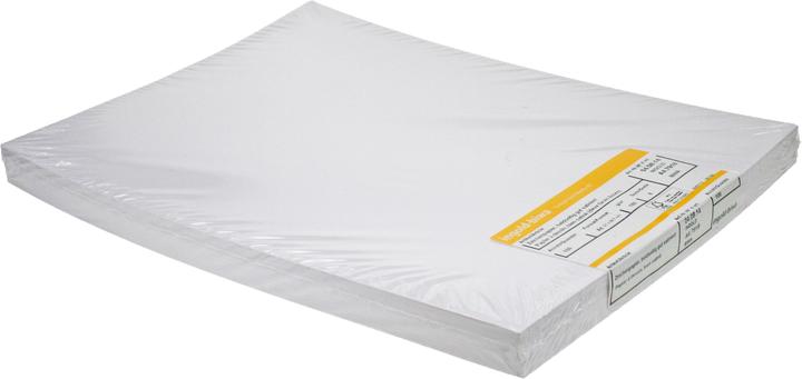 Actual product image Ingold-Biwa Drawing paper (A4)