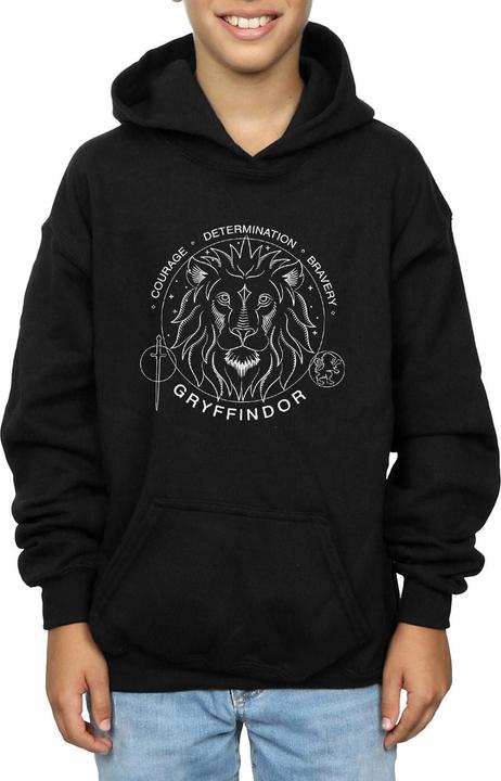 Produktbild Gryffindor Seal Kapuzenpullover Jungen (140, 146)