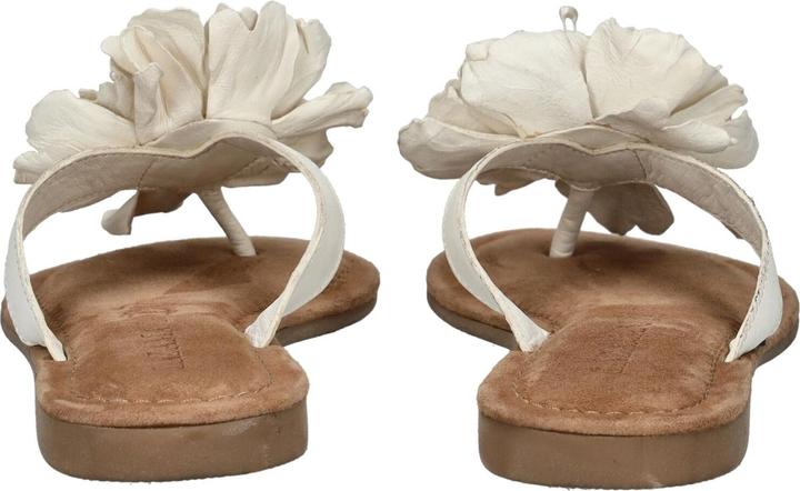 Actual product image Lazamani Zehensteg (42)