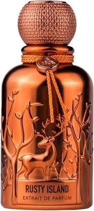 Immagine prodotto Auraa Desire Rusty Island Extrait Perfume 100ml by Profumo forte di cuoio e legno per uomo e donna (Extrait De Parfum, 100 ml)