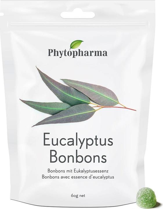 Produktbild Phytopharma Eucalyptus Bonbons (1 Stk., 60 g)