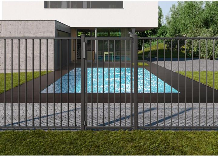Productafbeelding Locinox Poortscharnier en poortdranger TIGER