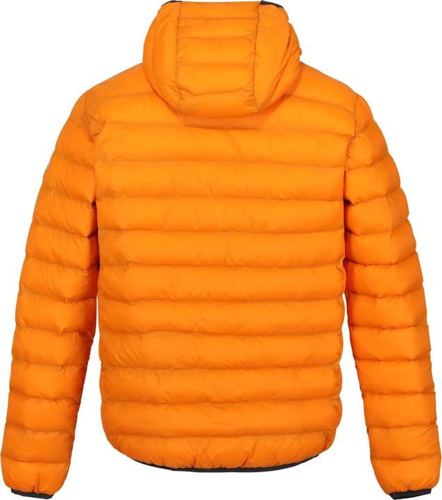 Actual product image Regatta Mens Marizion Baffled Hooded Padded Jacket (S)