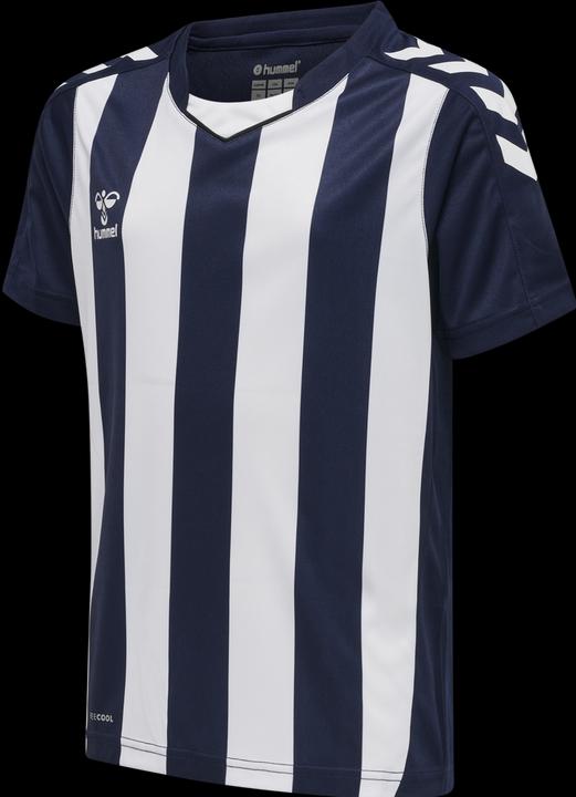 Actual product image hummel Core Xk Striped Jersey Kids S/S (176)