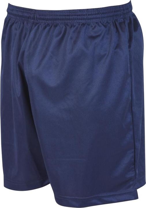 Actual product image Precision Micro-stripe shorts (S)