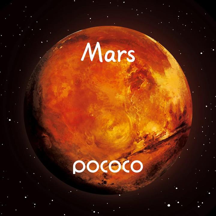 Actual product image Pococo Space discs