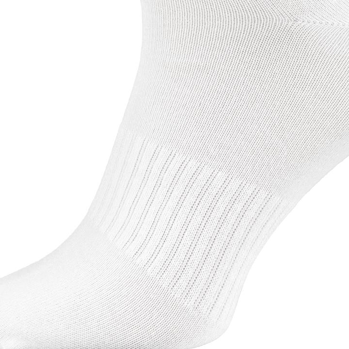 Actual product image Black Snake 6 Pack (pack of 6, 39, 42)