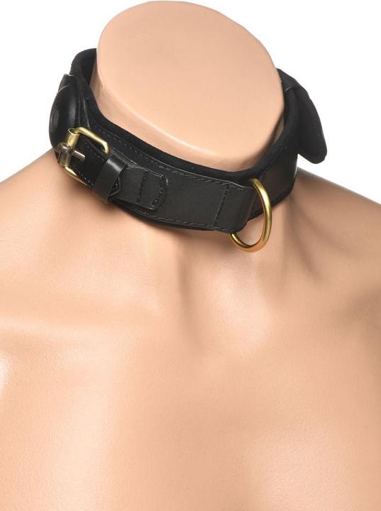 Actual product image Master Series Tracer - Tracking Collar