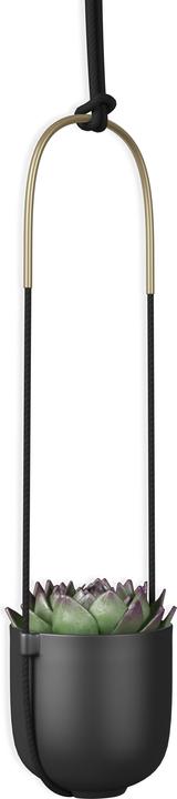 Actual product image Umbra Bolo (15 cm)