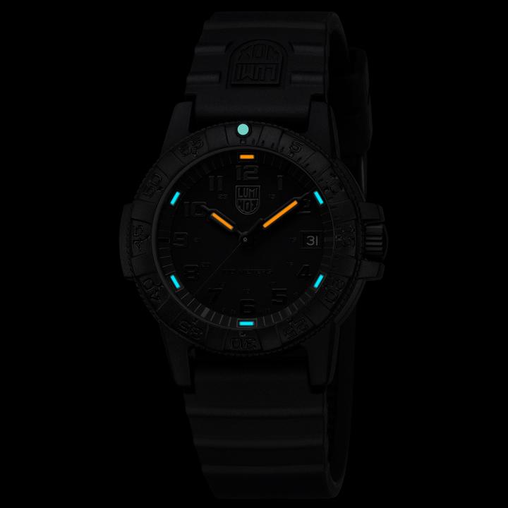 Produktbild Luminox Leatherback Sea Turtle 0300 Series (Analoguhr, Swiss Made, 39 mm)