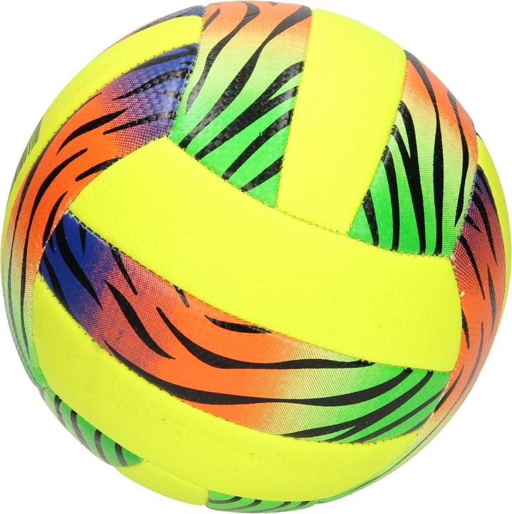 Immagine prodotto Pallavolo, taglia 5 (5)