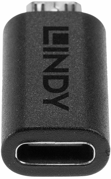 Produktbild Lindy USB C — USB Micro-B (0.03 m, USB 2.0)
