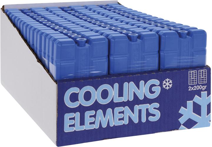 Champ Cooling element set of 2