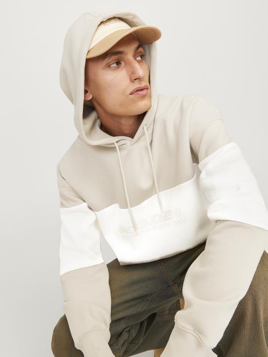 Actual product image Jack & Jones Jjelegacy Blocking Sweat Hood Noos (L)