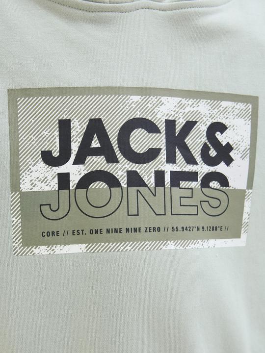 Immagine prodotto Jack & Jones Jcologan Print Sweat Hood Sn Mni (116)