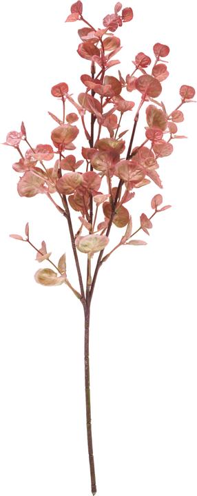 DPI Eucalyptus branch "Marissa", approx. L 48 cm